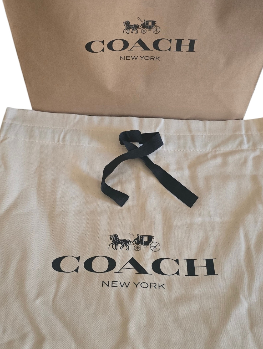 🛍️ COACH Dust Bag Large